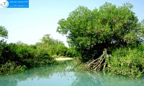 تور قشم نوروز 97